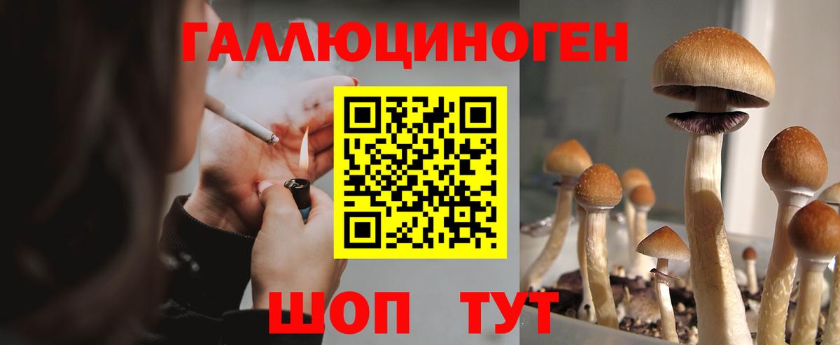 Псилоцибиновые грибы мицелий  Галлюциногенные грибы ЛСД  Верхняя Пышма  Вход с VPN 