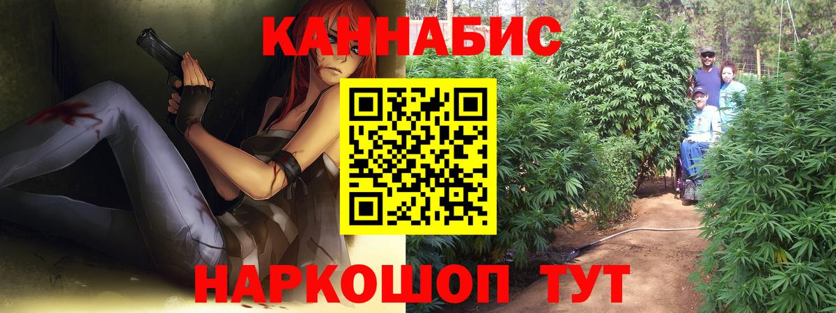 Каннабис Ganja  Марихуана планчик  Вход с VPN  Каннабис индика  Верхняя Пышма 